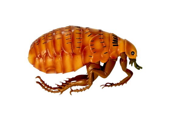 Axis Scientific Veterinary Pest Model Bundle