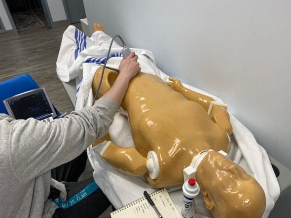 Adult Full Body with Muscles (Skin) for X-Ray CT, US