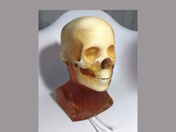 Adult Head (Hematoma) for X-Ray CT, US, MRI