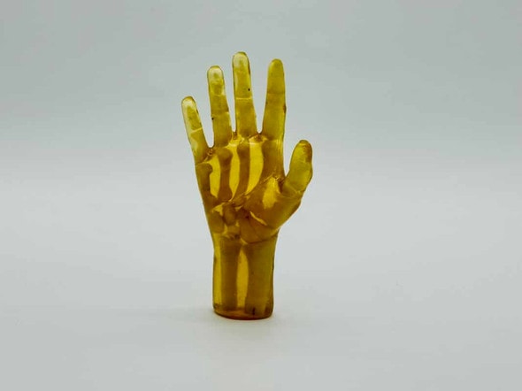 Pediatric Hand for X-Ray CT, US, MRI
