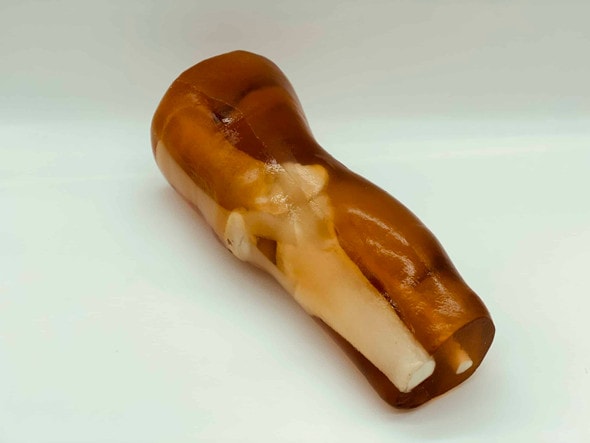 Adult Knee for X-Ray CT, US, MRI