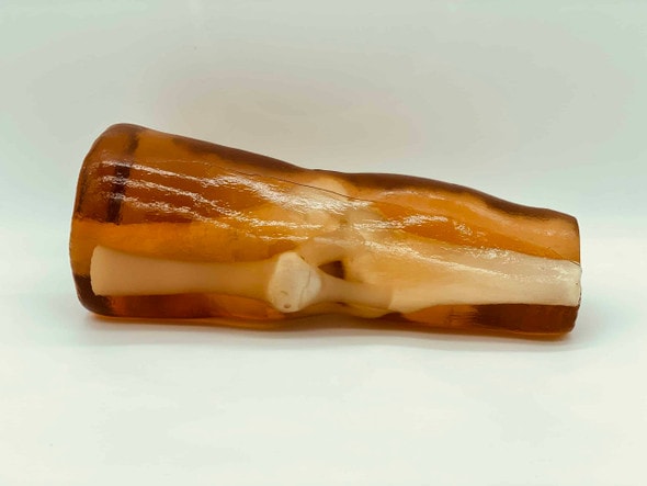 Adult Knee for X-Ray CT, US, MRI