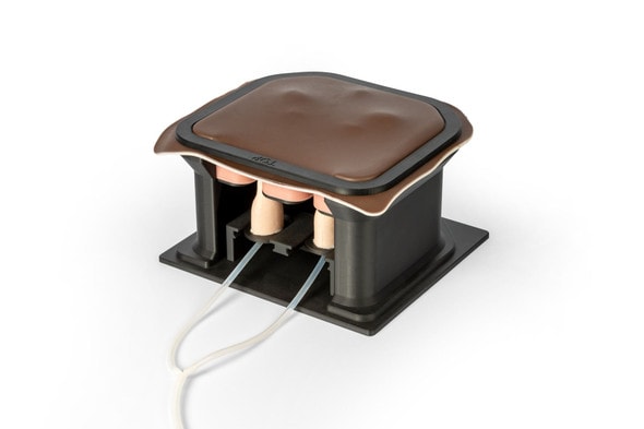 Equine Castration Surgical Simulator