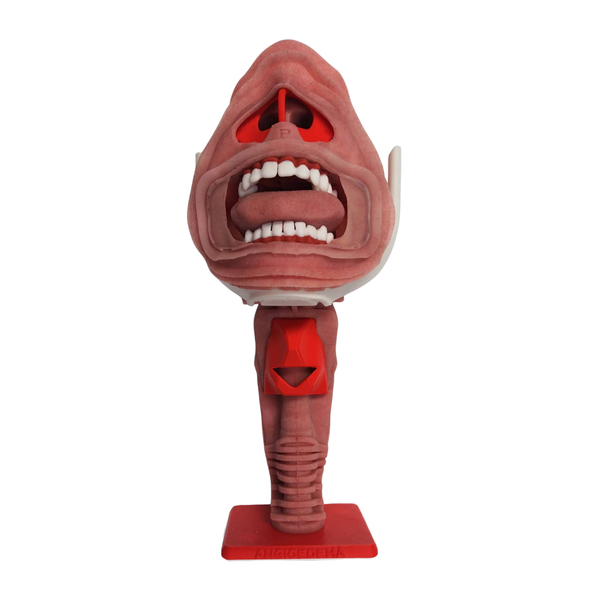 angioedema airway module