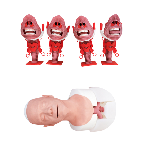 Airway Module for Airway Management Task Trainer V2