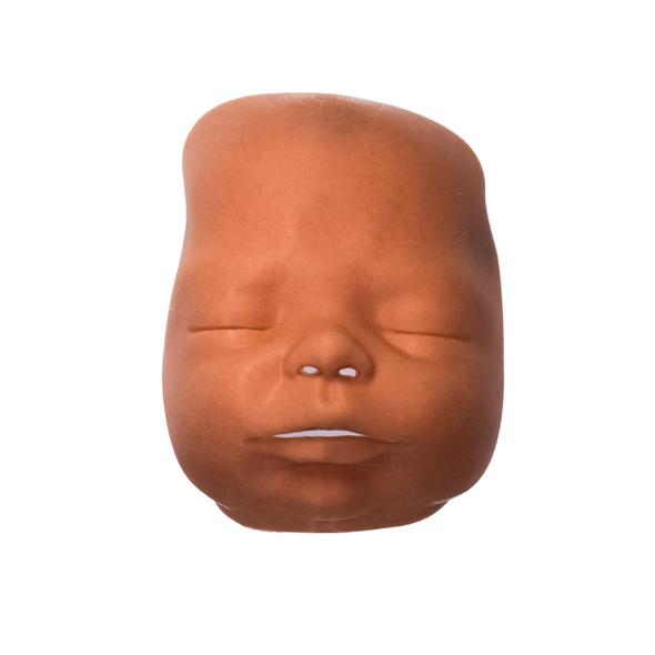 Face Skin Module