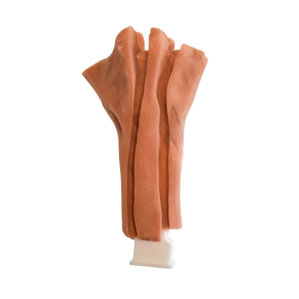 Hand Module