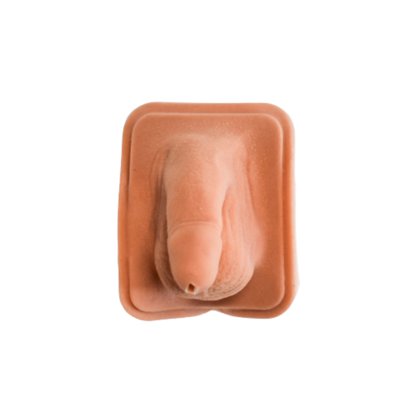 Large Male Genitalia Module