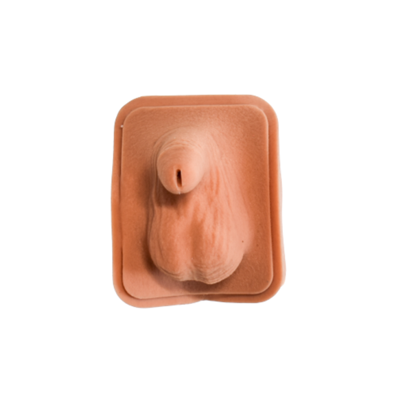 Small Male Genitalia Module
