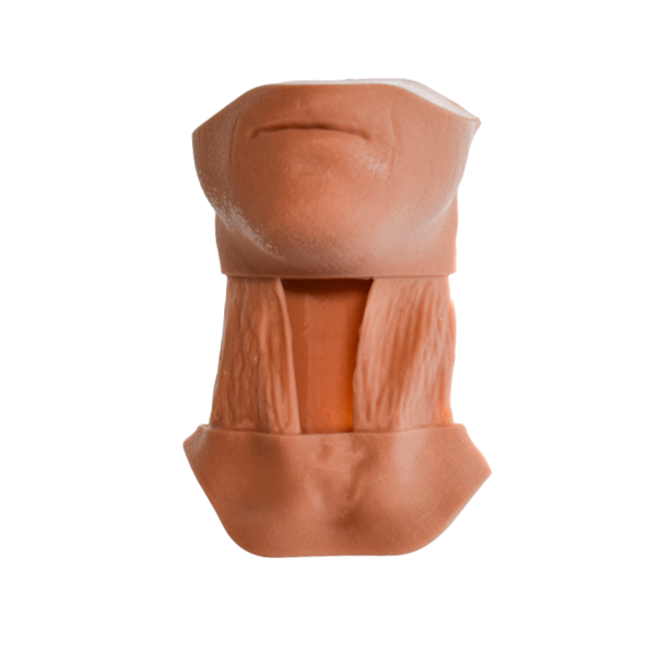 Adult Skin Module