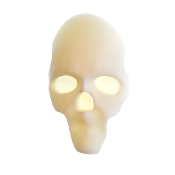 Replacement Skull