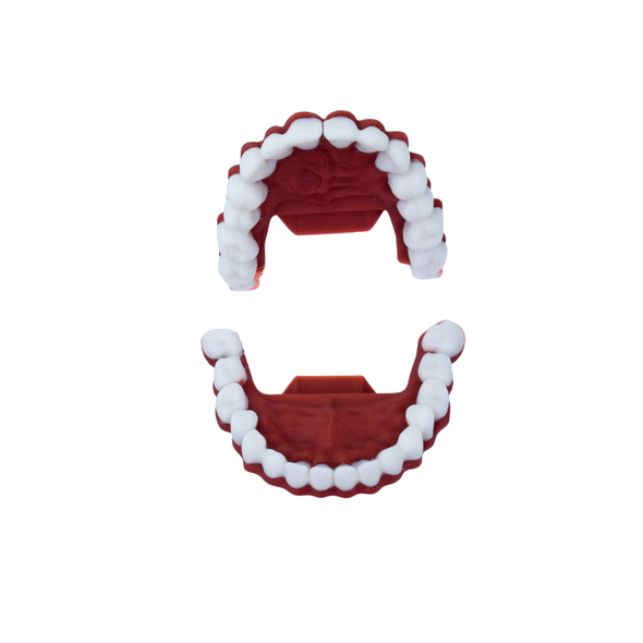 Standard Teeth Module