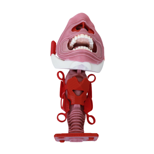 Mechanical Upgrade Kit for Airway Management Task Trainer V2