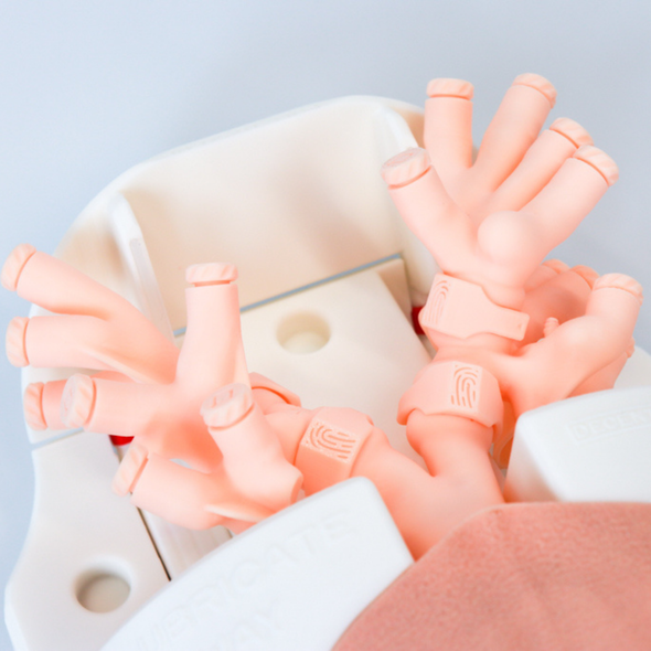 Bronchi Skill Module for Airway Management Task Trainer V2
