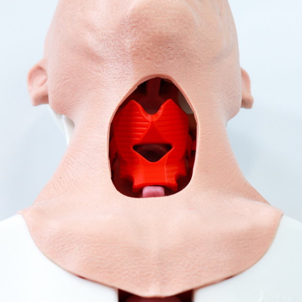 F.O.N.A. Skill Module for Airway Management Task Trainer V2