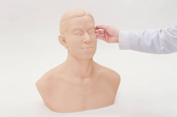 Anatomy Lab Acupuncture Training Head