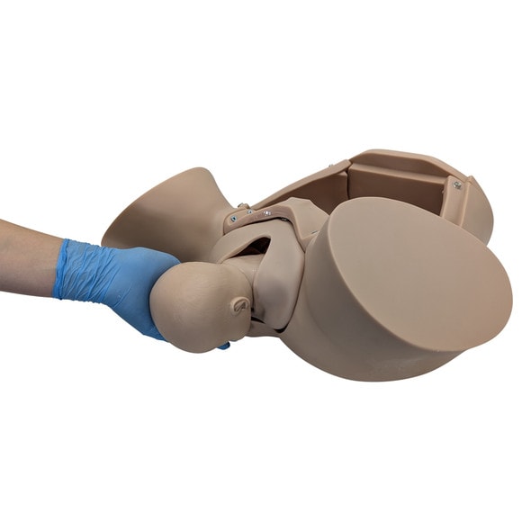 Anatomy Lab Advanced Childbirth Simulator Anatomy Lab Advanced Childbirth Simulator