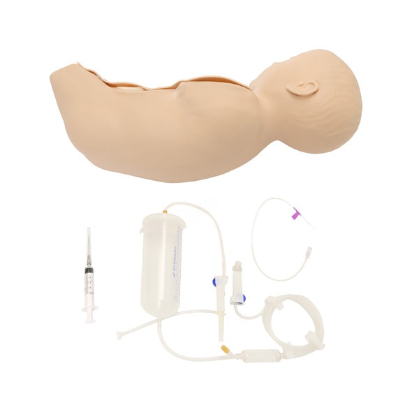 Anatomy Lab Baby Stap Anatomy Lab Baby Stap