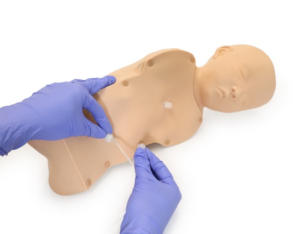 Anatomy Lab Baby Stap Anatomy Lab Baby Stap