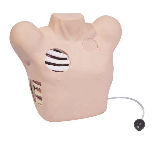 Anatomy Lab Thoracentesis & Thoracic Drainage Training Simulator Anatomy Lab Thoracentesis & Thoracic Drainage Training Simulator