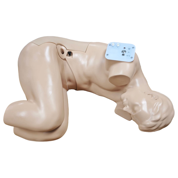 Anatomy Lab Adult Lumbar Puncture Simulator
