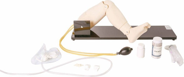 Anatomy Lab Child Intraosseous Infusion / Femoral Access Leg