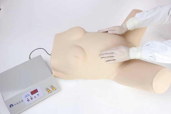Anatomy Lab Maternity Model