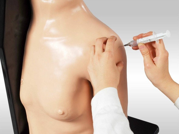 Anatomy Lab Shoulder for Joint Injection