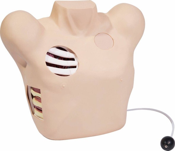 Anatomy Lab Thoracentesis Training and Demonstration Simulator - Overview