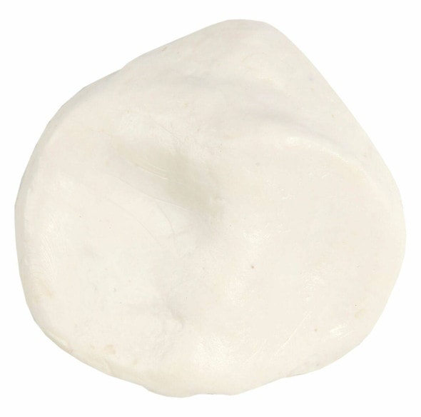 Axis Scientific Patella Bone Axis Scientific Patella Bone