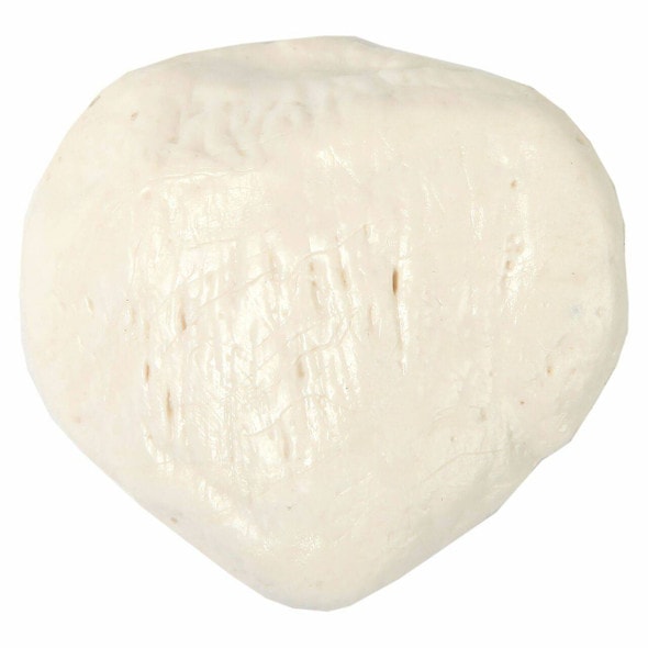 Axis Scientific Patella Bone Axis Scientific Patella Bone