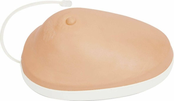 Anatomy Lab Breast Gland Examination Training Simulator