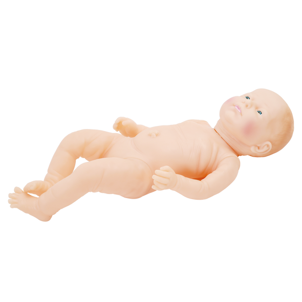 Anatomy Lab Neonate Care Manikin - Girl Anatomy Lab Neonate Care Manikin - Girl