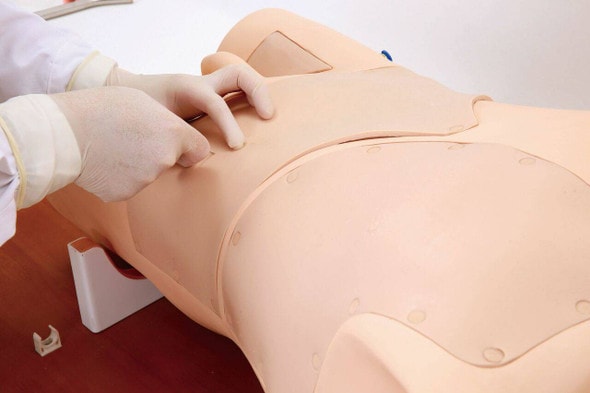 Anatomy Lab Multi-purpose Clinical Puncture Simulator