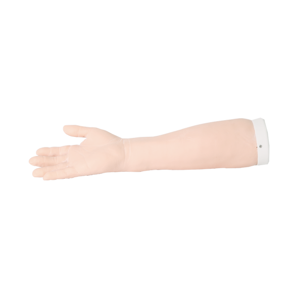 Anatomy Lab Wrist Joint Injection Model Anatomy Lab Wrist Joint Injection Model