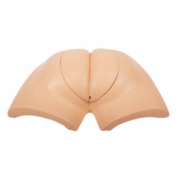 Anatomy Lab Advanced Wearable Artificial Defecation Training Model Anatomy Lab Advanced Wearable Artificial Defecation Training Model