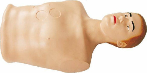 Anatomy Lab Pericardial Puncture and Intracardial Injection Simulator