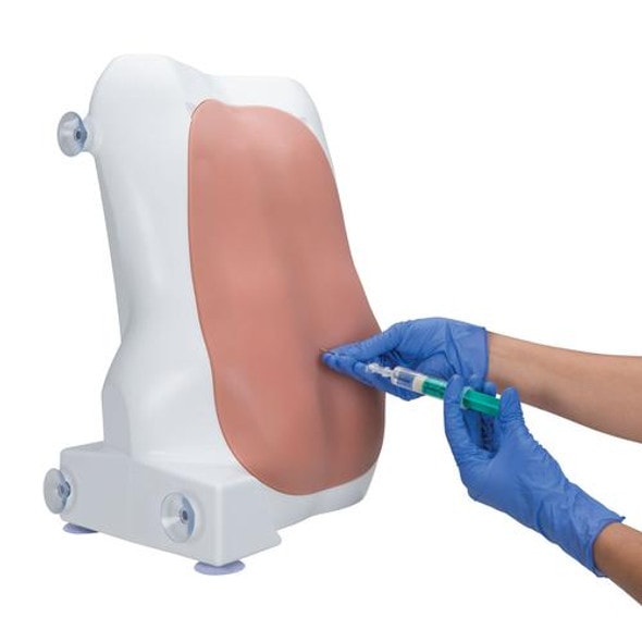 SKINS × Dr.TRAINING 3B Scientific Epidural and Spinal Injection Trainer, Dark