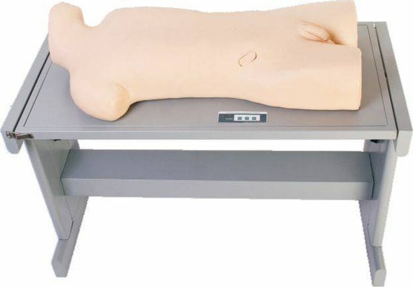 Anatomy Lab Liver Abscess Puncture and Thoracentesis Training Simulator