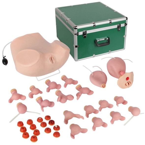 Anatomy Lab Advanced Gynecological Examination Simulator Anatomy Lab Advanced Gynecological Examination Simulator
