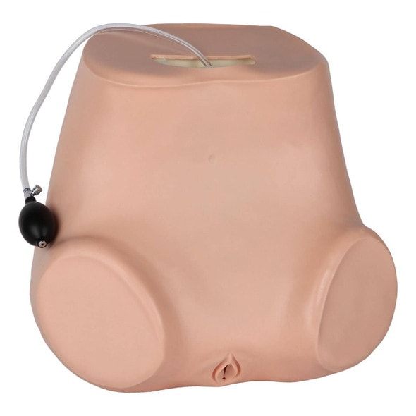 Anatomy Lab Advanced Gynecological Examination Simulator Anatomy Lab Advanced Gynecological Examination Simulator