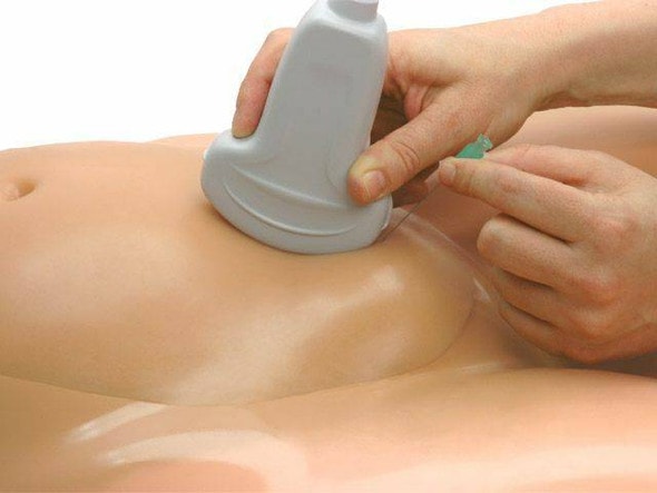 Amniocentesis Ultrasound Training Model Amniocentesis Ultrasound Training Model