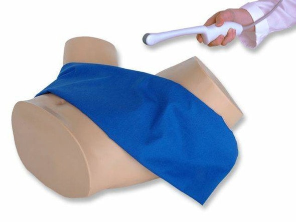 Combination IUP Ectopic Pregnancy Transvaginal Ultrasound Training Model