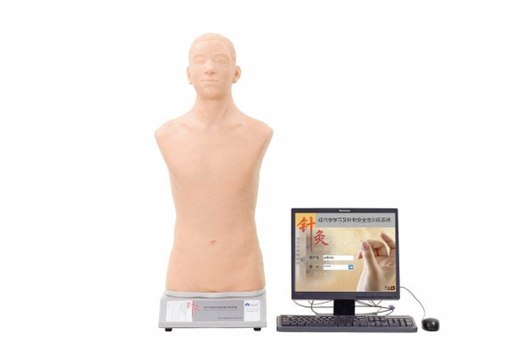 Anatomy Lab Meridian Point Theory and Acupuncture Training Simulator