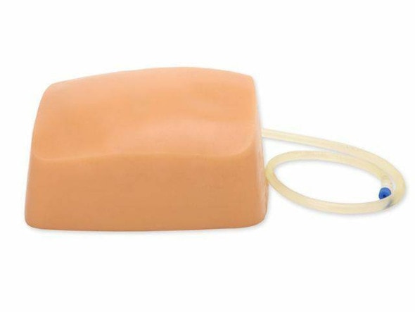 Midscapular Thoracentesis Ultrasound Replacement Tissue