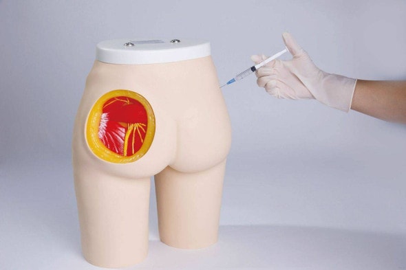 Anatomy Lab Buttock Injection Model