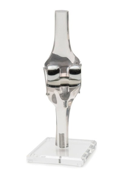 Knee Model With Endoprosthesis Knee Model With Endoprosthesis