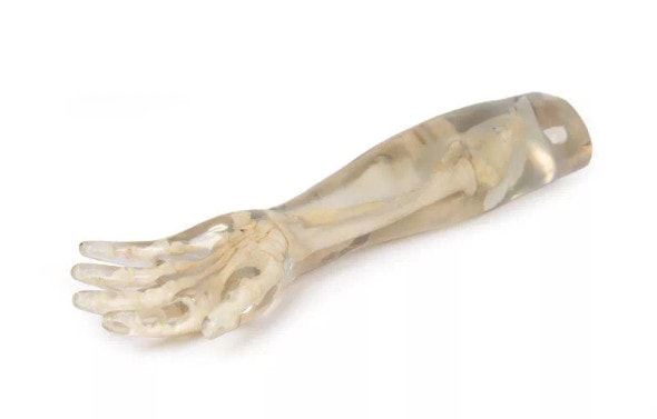X-Ray Phantom Lower Arm, Transparent X-Ray Phantom Lower Arm, Transparent