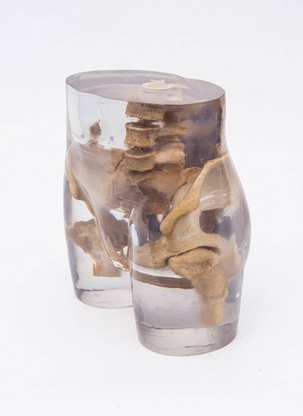X-Ray Phantom Pelvis, Transparent X-Ray Phantom Pelvis, Transparent