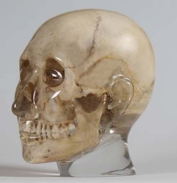 X-Ray Phantom Head, Transparent X-Ray Phantom Head, Transparent